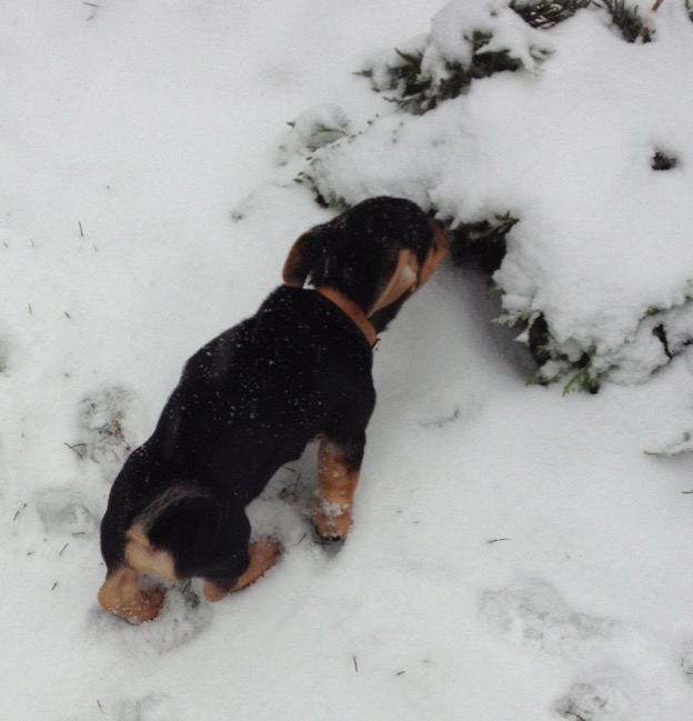 foto---arbeitskopie-2