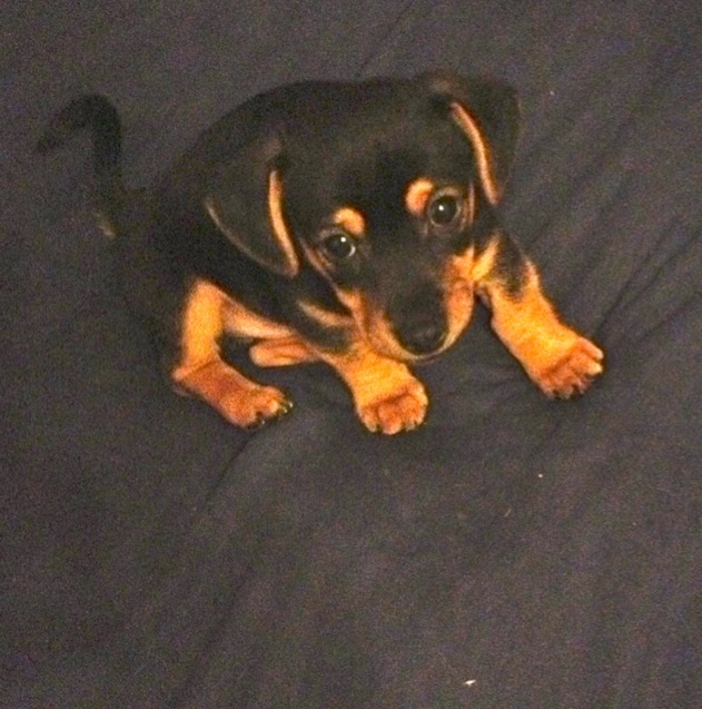 img_0390---arbeitskopie-2